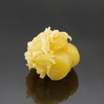 新春の上生菓子6個入(2026)