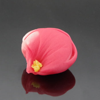 新春の上生菓子6個入(2026)