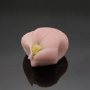 十一月の上生菓子６個入（２０２６）
