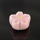 三月の上生菓子６個入（２０２６）