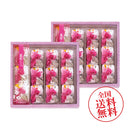 【送料無料】筑紫もち２４個入