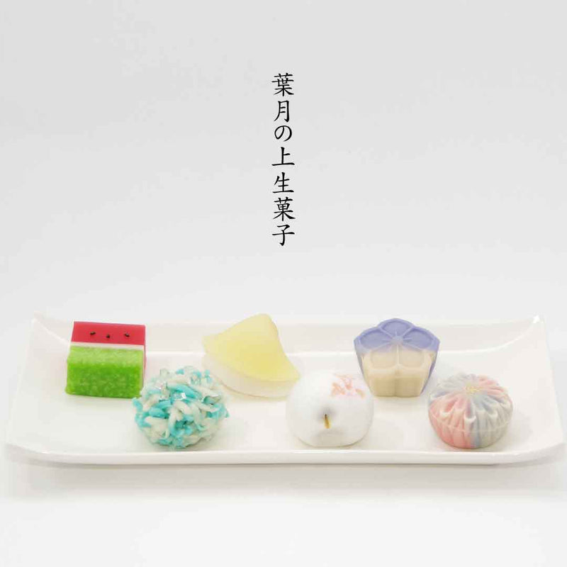 八月の上生菓子６個入（２０２５）