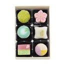 三月の上生菓子６個入（２０２６）