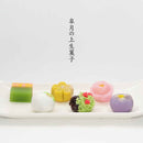 五月の上生菓子６個入（２０２６）