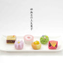 十月の上生菓子６個入（２０２６）
