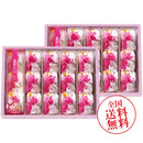 【送料無料】筑紫もち３０個入