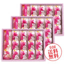 【送料無料】筑紫もち４５個入