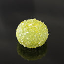 三月の上生菓子６個入（２０２６）