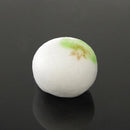 五月の上生菓子６個入（２０２６）