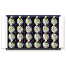 天王光２４個入