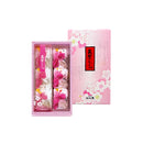 【春限定】筑紫もち６個入